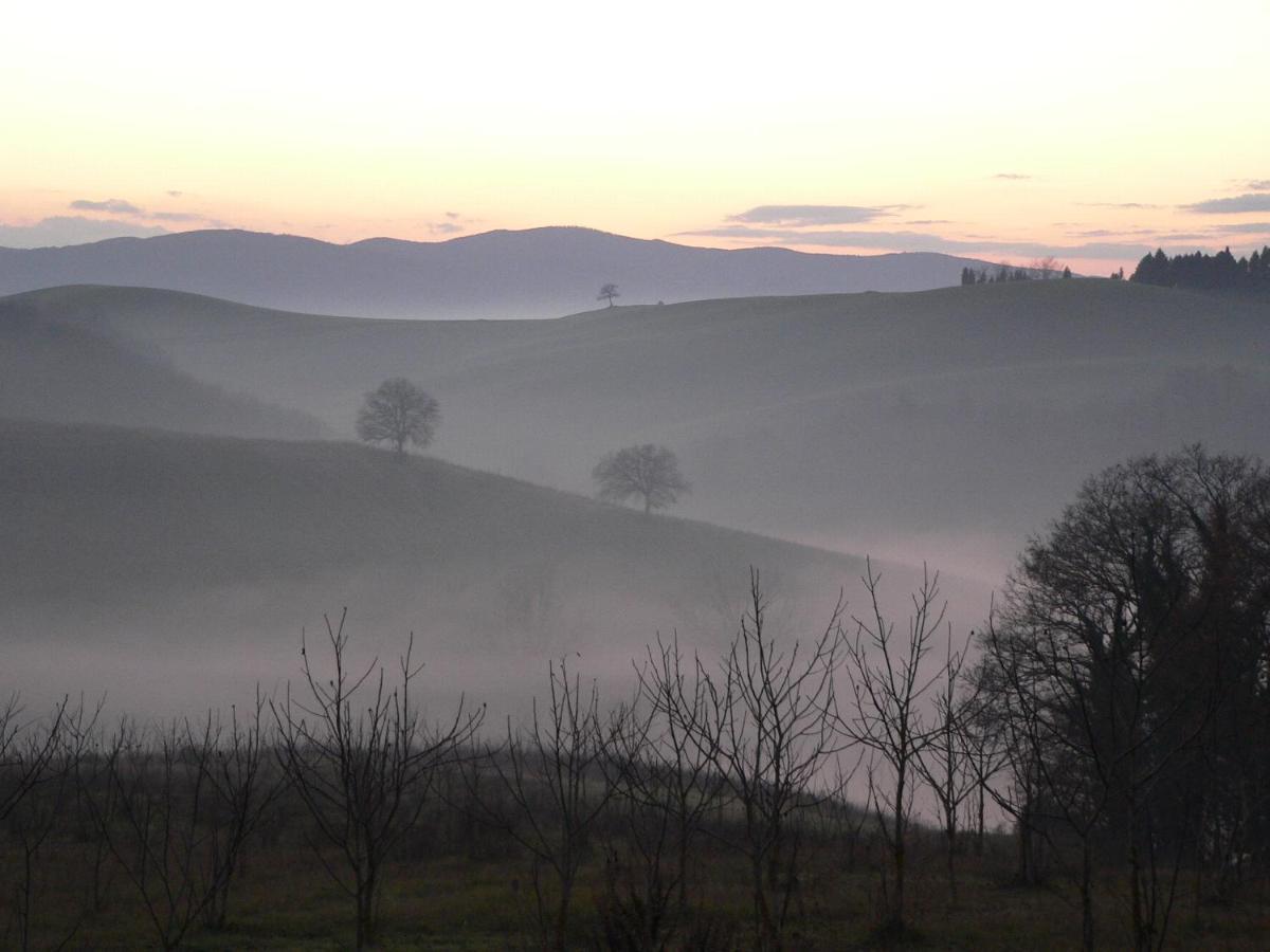 Podere Sant'Antonio 부온콘벤토 외부 사진