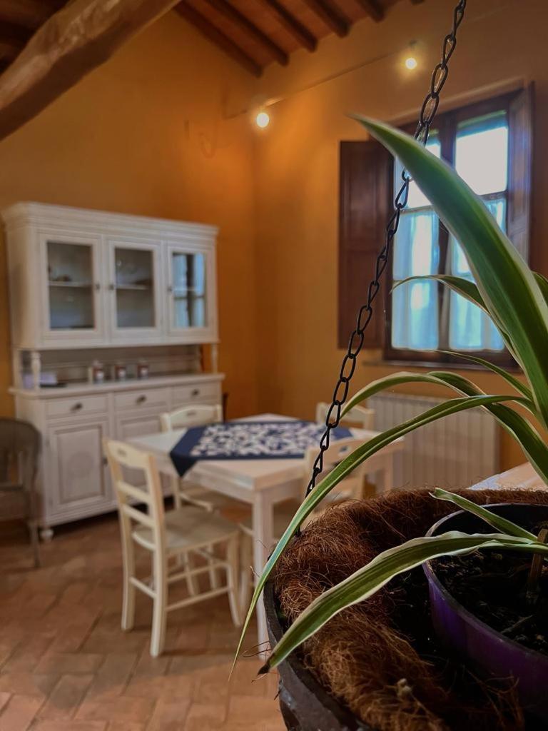 Podere Sant'Antonio 부온콘벤토 외부 사진