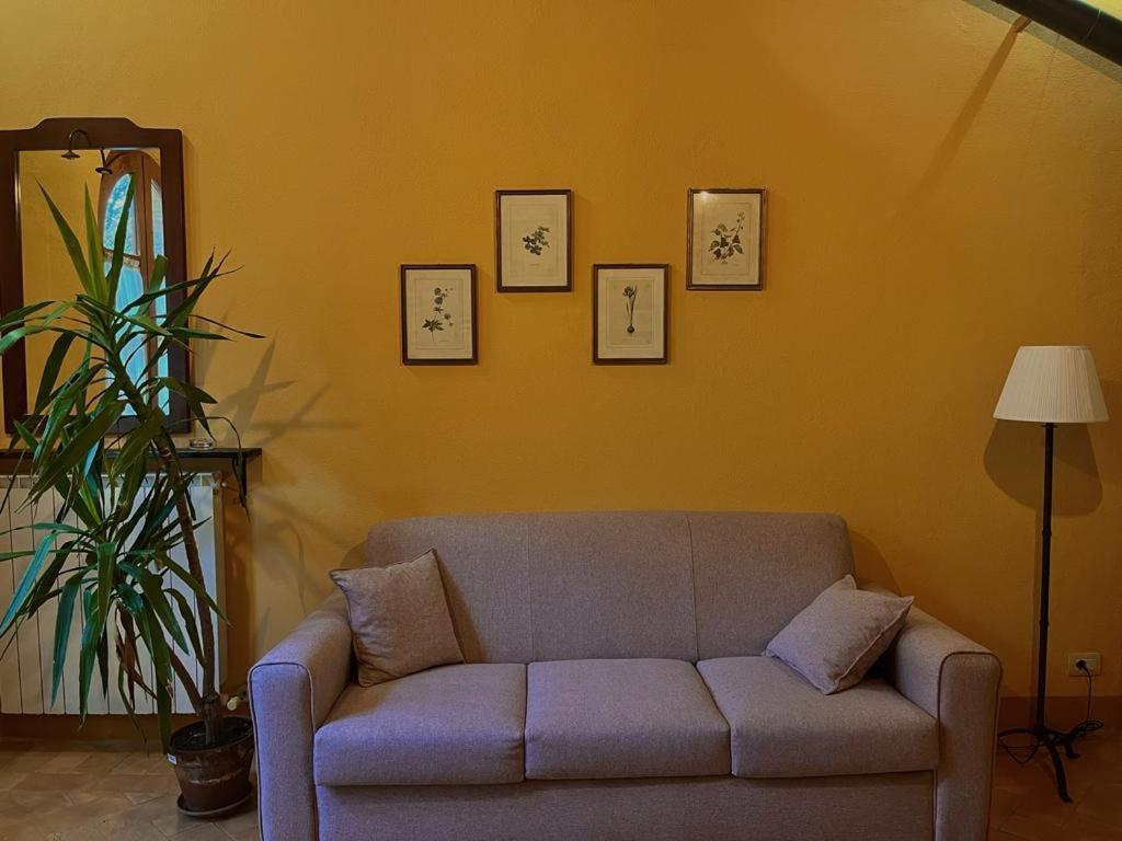 Podere Sant'Antonio 부온콘벤토 외부 사진