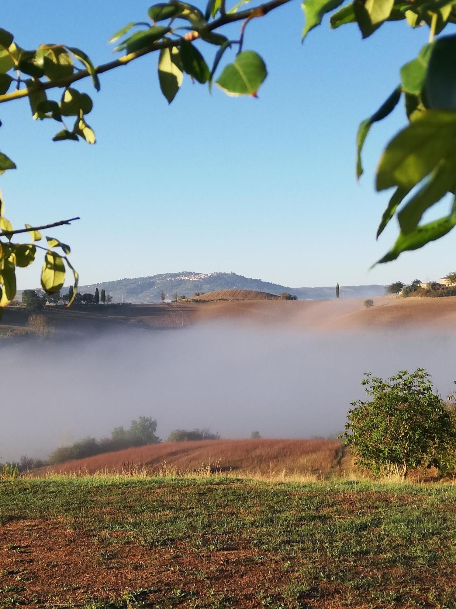 Podere Sant'Antonio 부온콘벤토 외부 사진